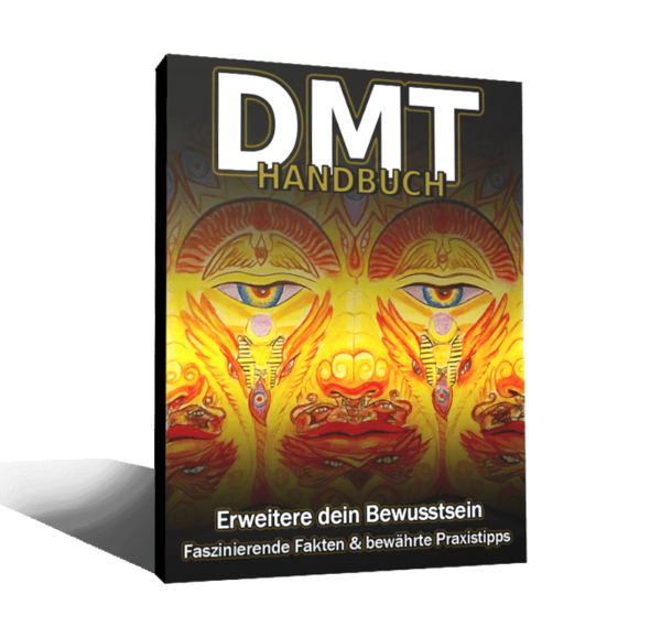 DMT Handbuch